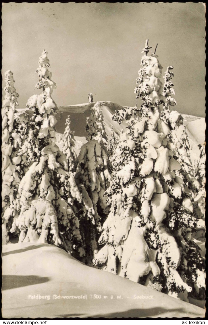 Feldberg (Schwarzwald) Feldberg (1500m) Schwarzwald Im Winter 1962 - Feldberg