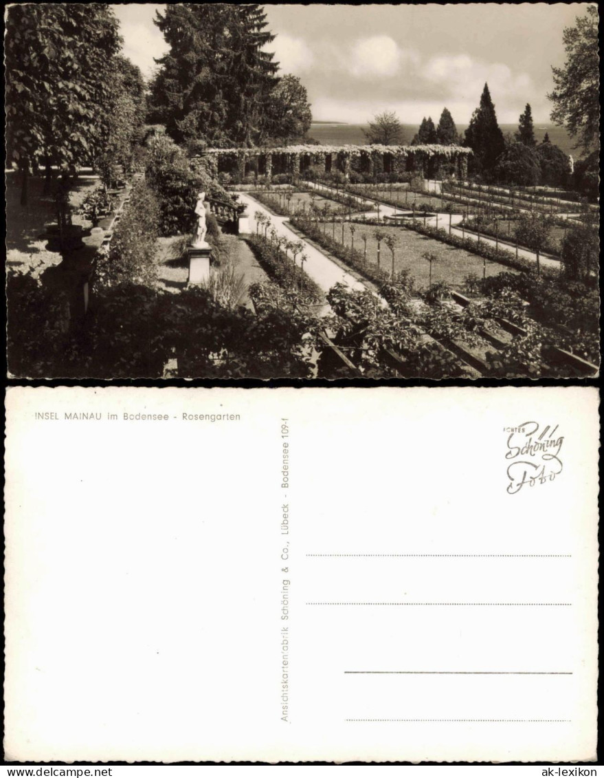 Ansichtskarte Insel Mainau-Konstanz Rosengarten - Bodensee 1961 - Konstanz