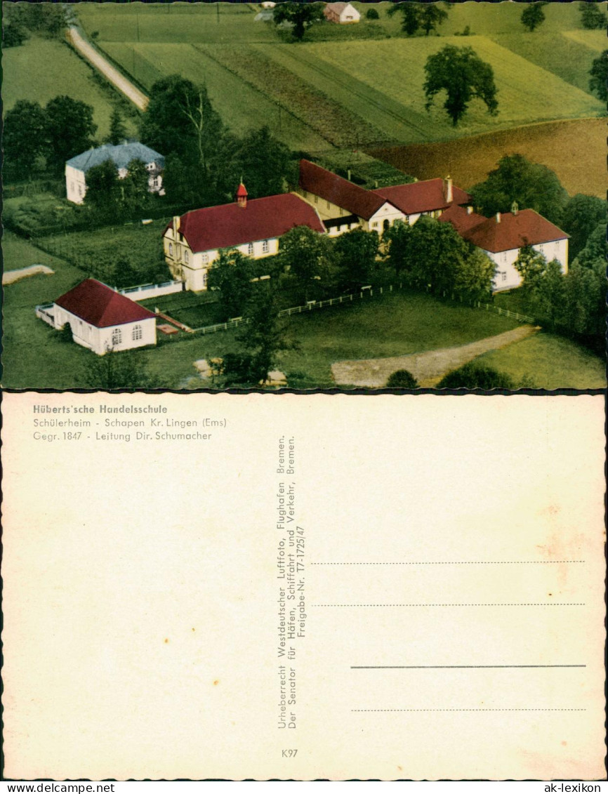 Ansichtskarte Schapen Luftbild Kr. Lingen (Ems) 1962 - Other & Unclassified