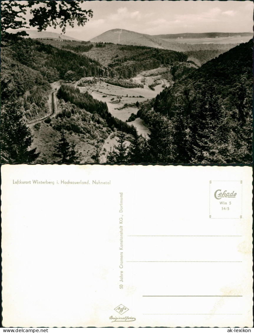 Winterberg Luftkurort Hochsauerland, Nuhnetal Panorama-Ansicht 1954 - Winterberg