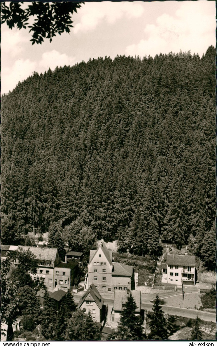 Schwarzenstein-Schwarzenbach Am Wald Ortsansicht Schwarzenstein 1960 - Autres & Non Classés