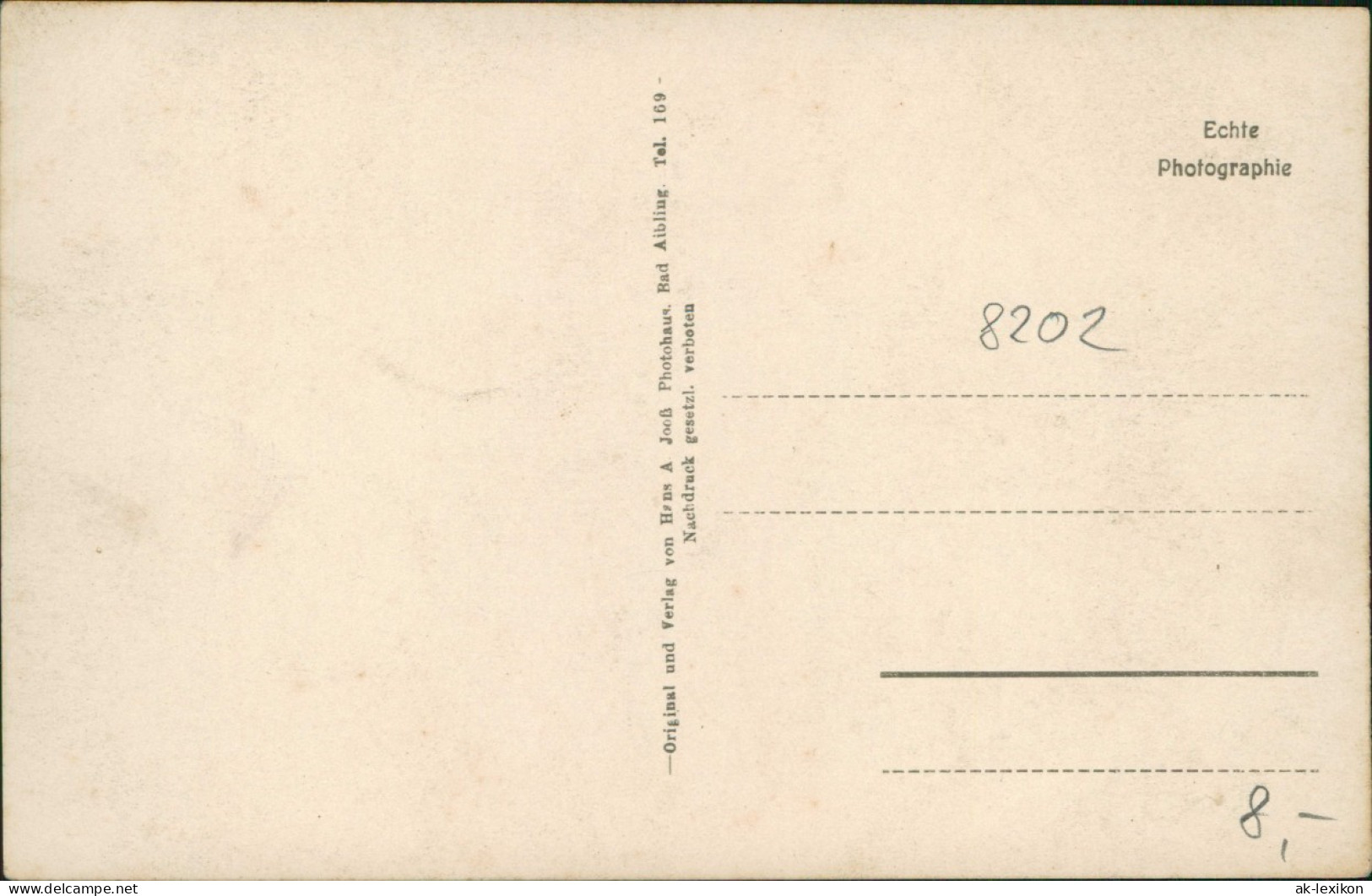 Ansichtskarte Bad Aibling Stadtpartie Mit Gebirgskette 1929 - Autres & Non Classés