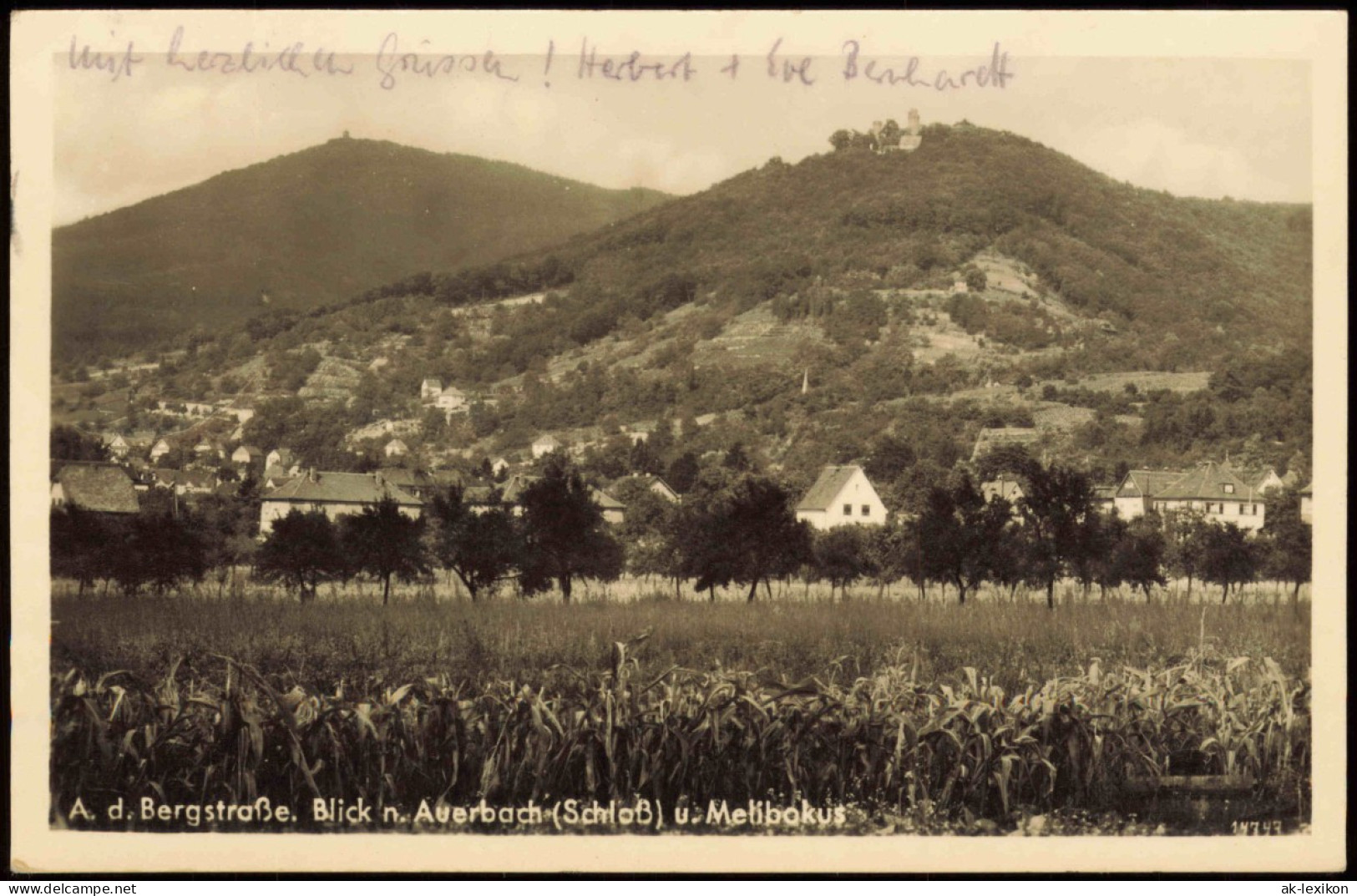 Ansichtskarte Auerbach Bergstraße -Bensheim Blick N.  Schloß U. Melibokus 1951 - Bensheim