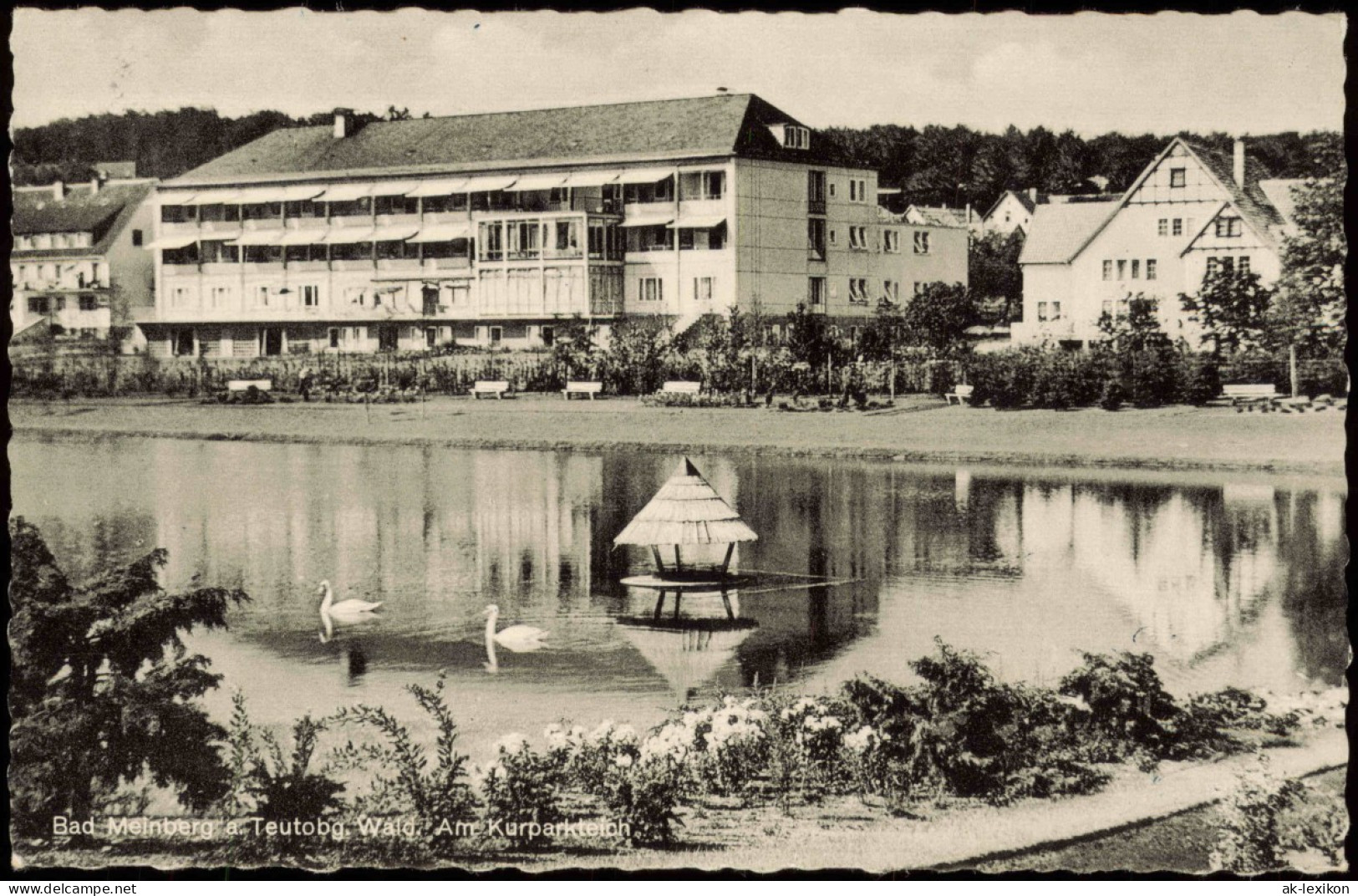 Ansichtskarte Horn-Bad Meinberg Schwanensee, Kurheim 1962 - Autres & Non Classés