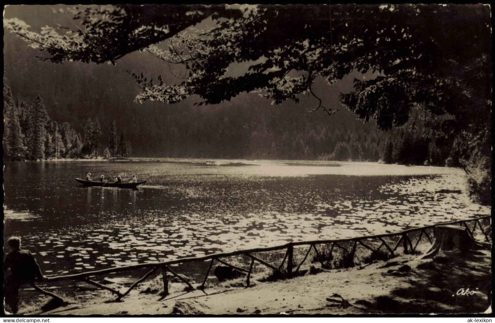 Ansichtskarte Bayerisch Eisenstein Arbersee Im Bayerischen Wald 1956 - Otros & Sin Clasificación