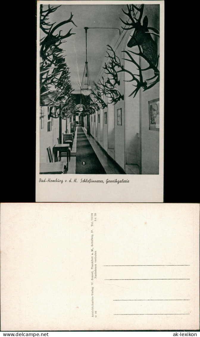 Bad Homburg Vor Der Höhe Kaiserliches Schloß - Geweihgallerie 1934 - Bad Homburg