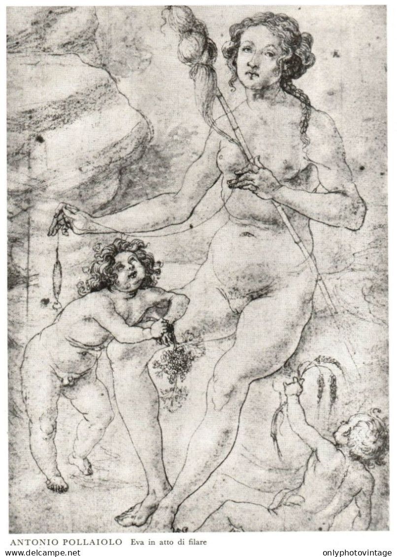 Antonio Pollaiolo, Nudo Artistico, Eva Nell'atto Di Filare, Stampa Epoca - Prints & Engravings