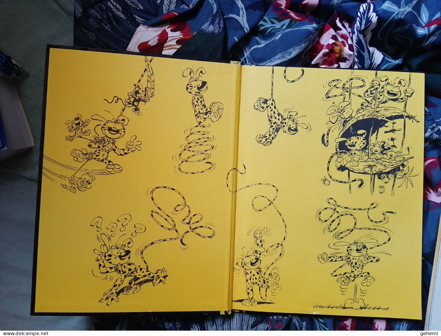 Lot De 2 BD Léonard  (EO De 1996) Et Marsupilami (réédition 2013) - Wholesale, Bulk Lots