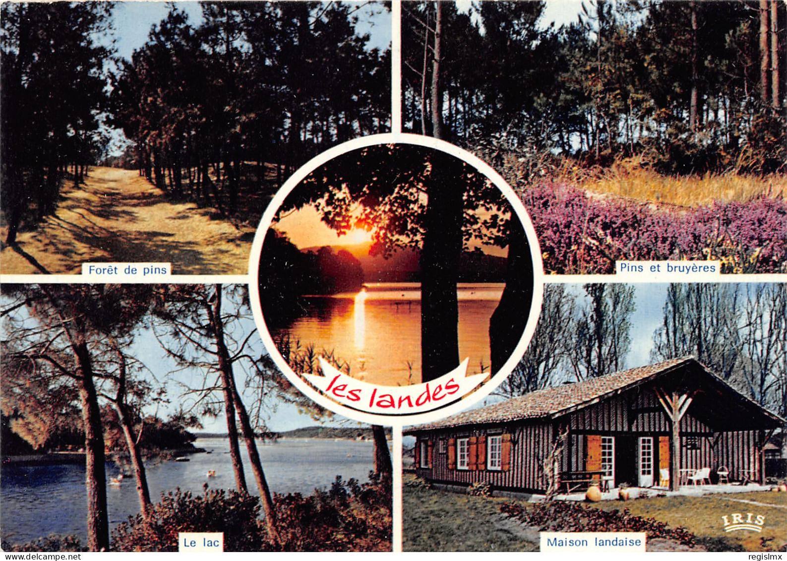 40-LANDES-N°1017-B/0149 - Other & Unclassified