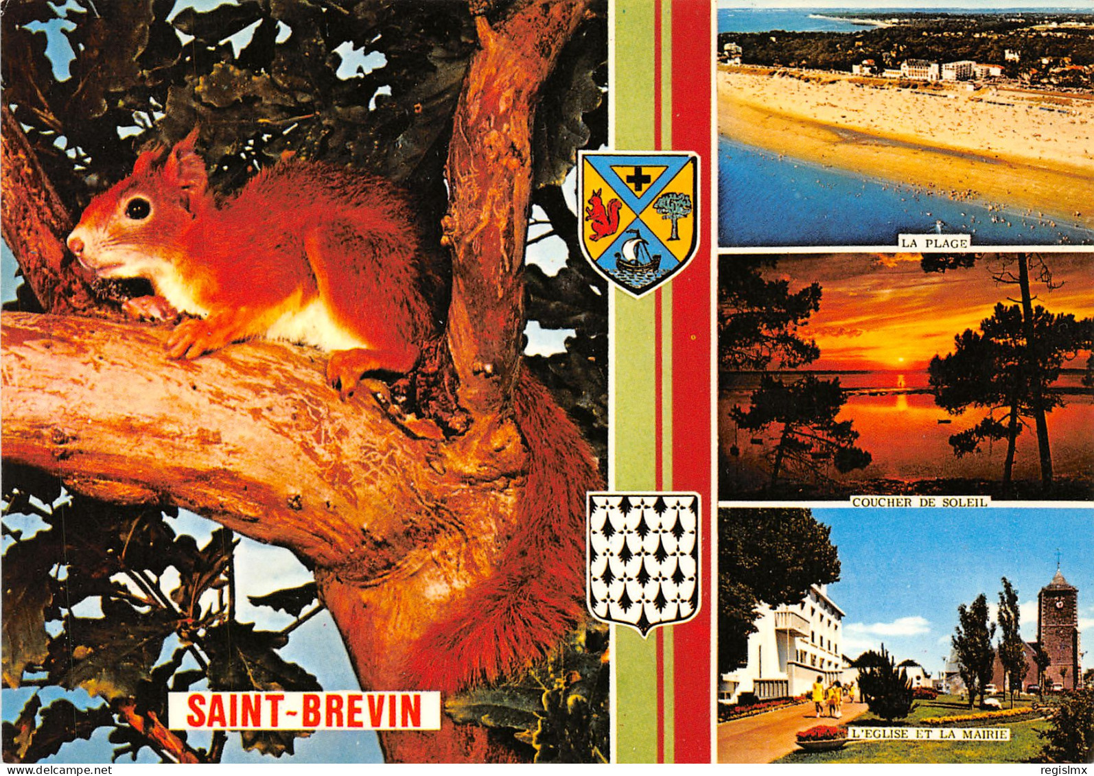 44-SAINT BREVIN-N°1017-D/0325 - Saint-Brevin-les-Pins