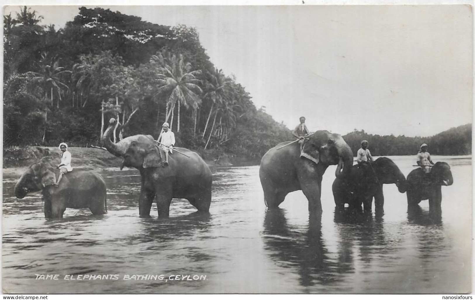 ASIE.CEYLON. TEMPLE ELEPHANTS AFTER THEIR BATH KANDY CEYLON  CARTE ECRITE ET TIMBRE - Sri Lanka (Ceylon)