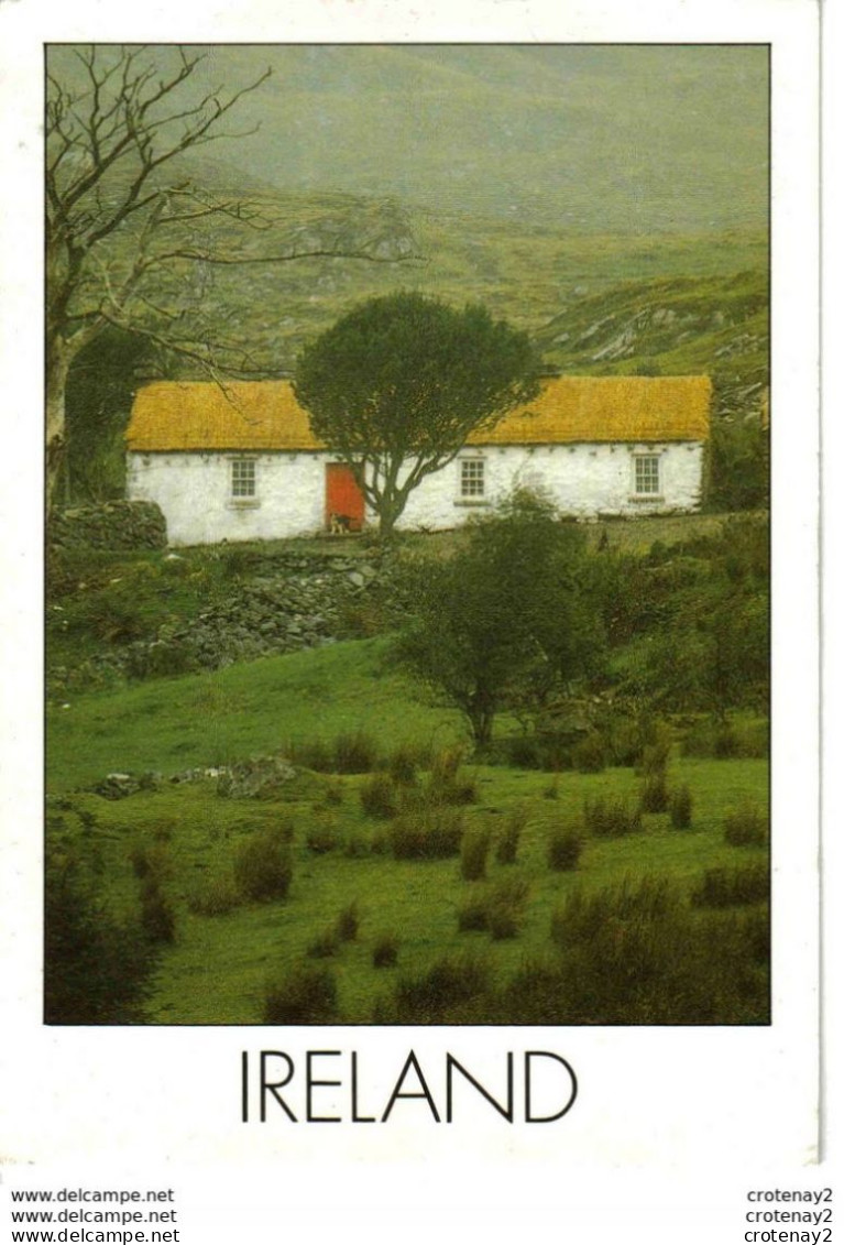 IRLANDE Ireland A Typical Irish Cottage Photography Peter Zöller N°SP308 VOIR DOS - Autres & Non Classés