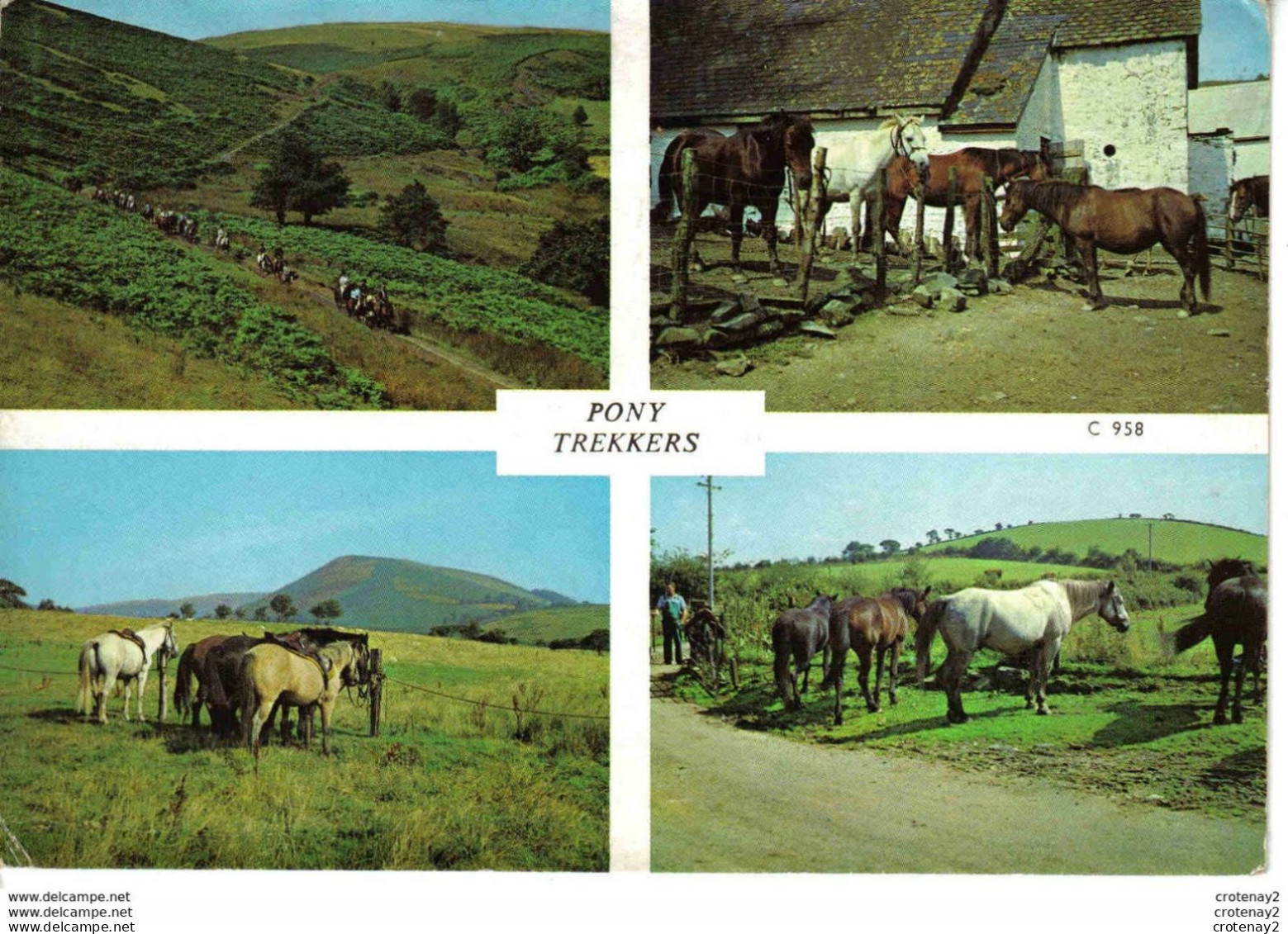 Pony Trekkers N°C 958 Chevaux Horses En 1973 - Caballos