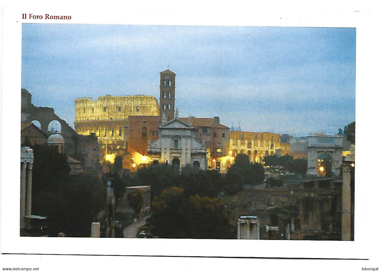 IL FORO ROMANO / THE ROMAIN FORUM.-  ROMA.- ( ITALIA ) - Autres Monuments, édifices