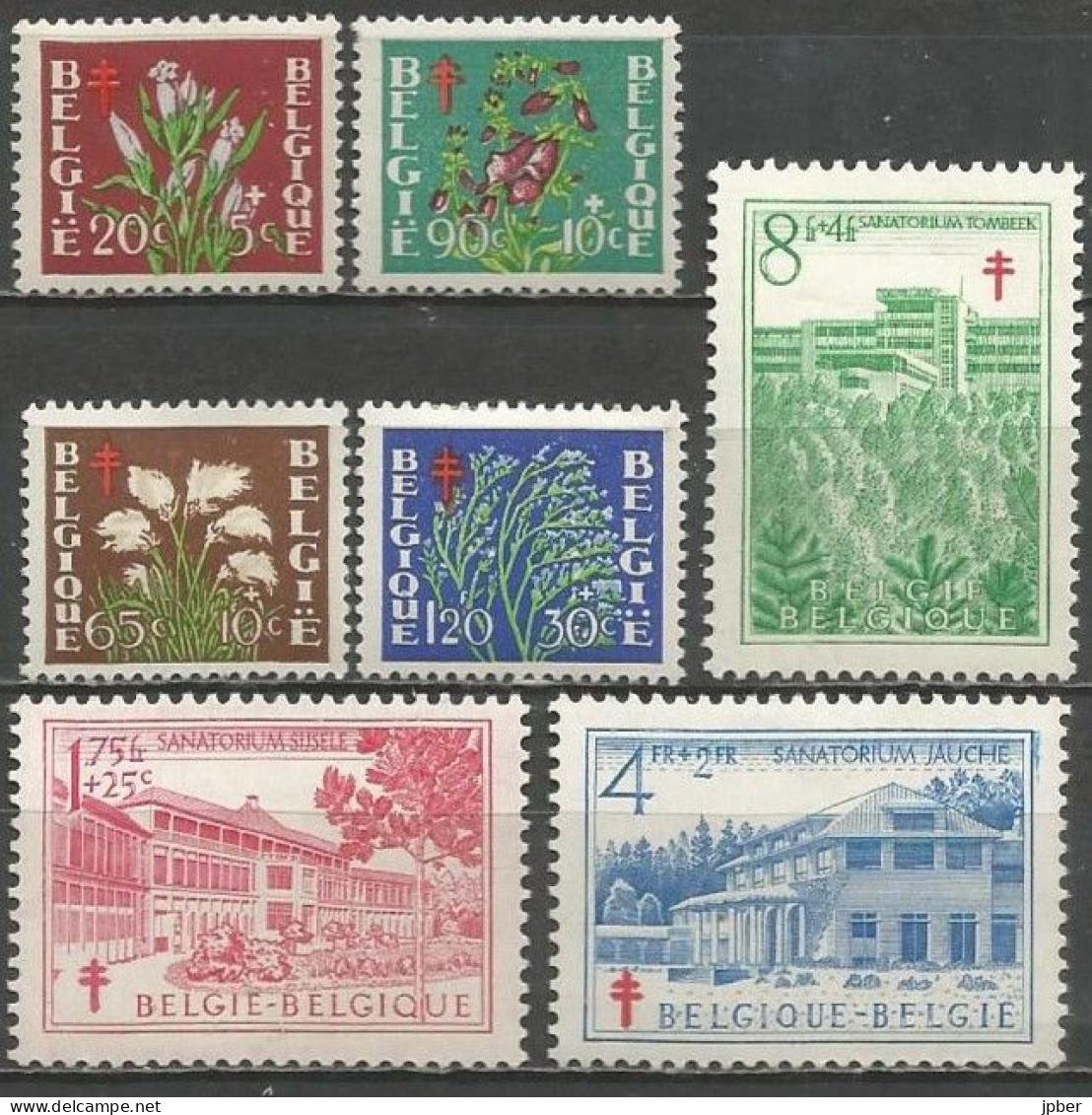 Belgique - Gentiane, Linaigrette, Digitale, Immortelle, Sanatorium Sijsele, Jauche, Tombeek N°834 à 840 * - Nuevos