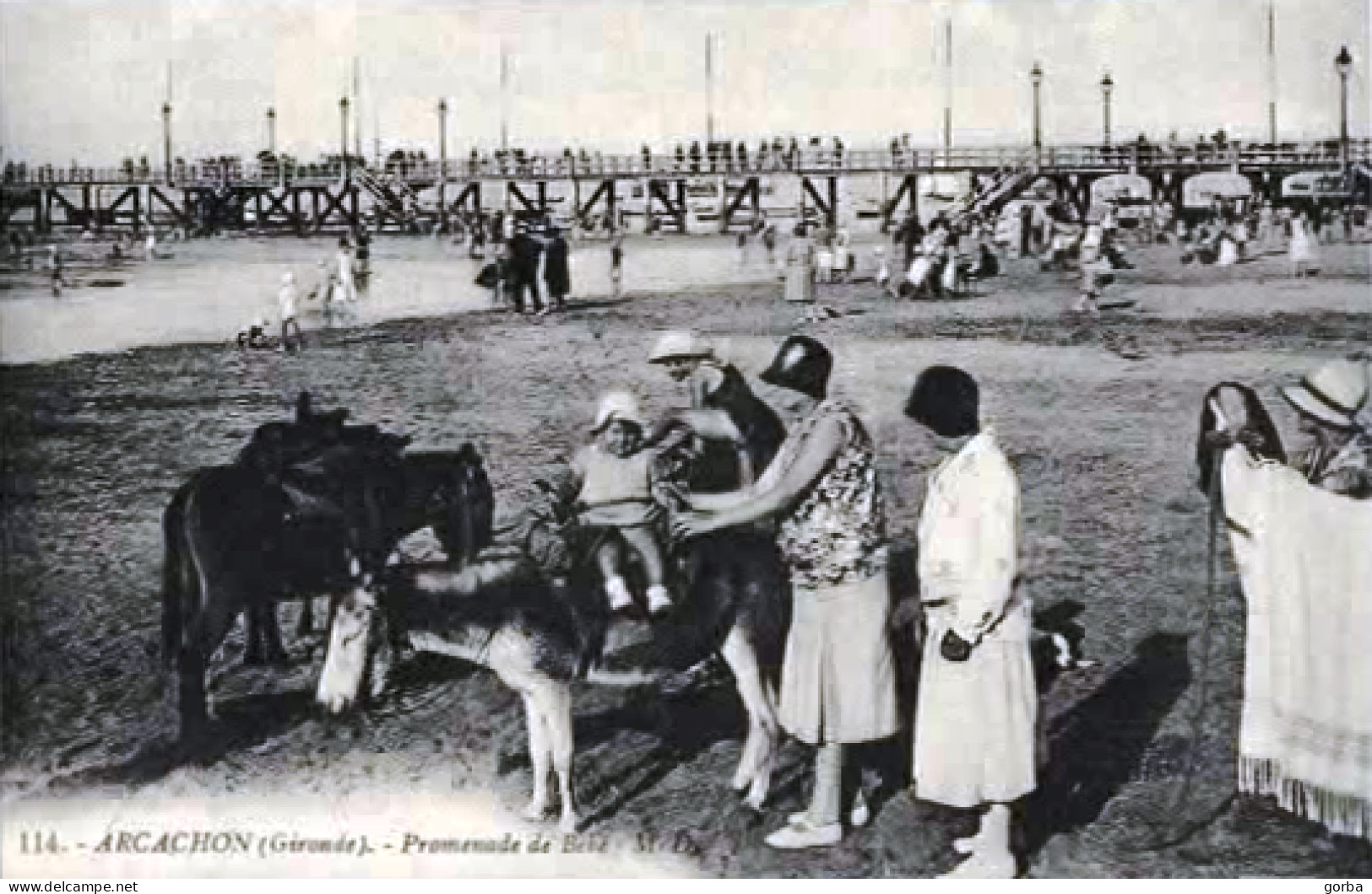 *Repro CPA - 33 - ARCACHON - Promenade De Bébé - Ane - Arcachon