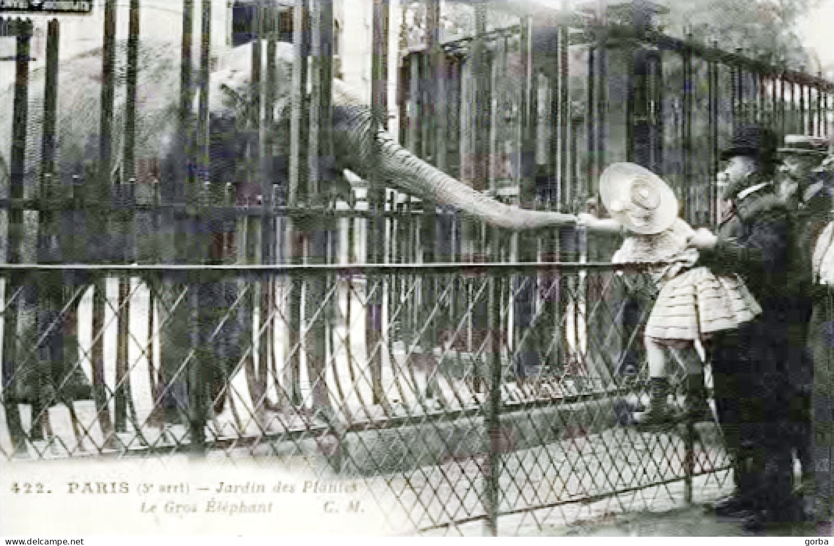 *repro CPA - 75 - PARIS -  Le Jardin Des Plantes - Le Gros Eléphant - Parks, Gärten