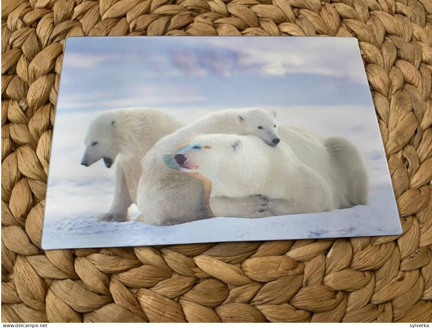 Bär Bear Postkarte Postcard 3D Lenticular - Beren