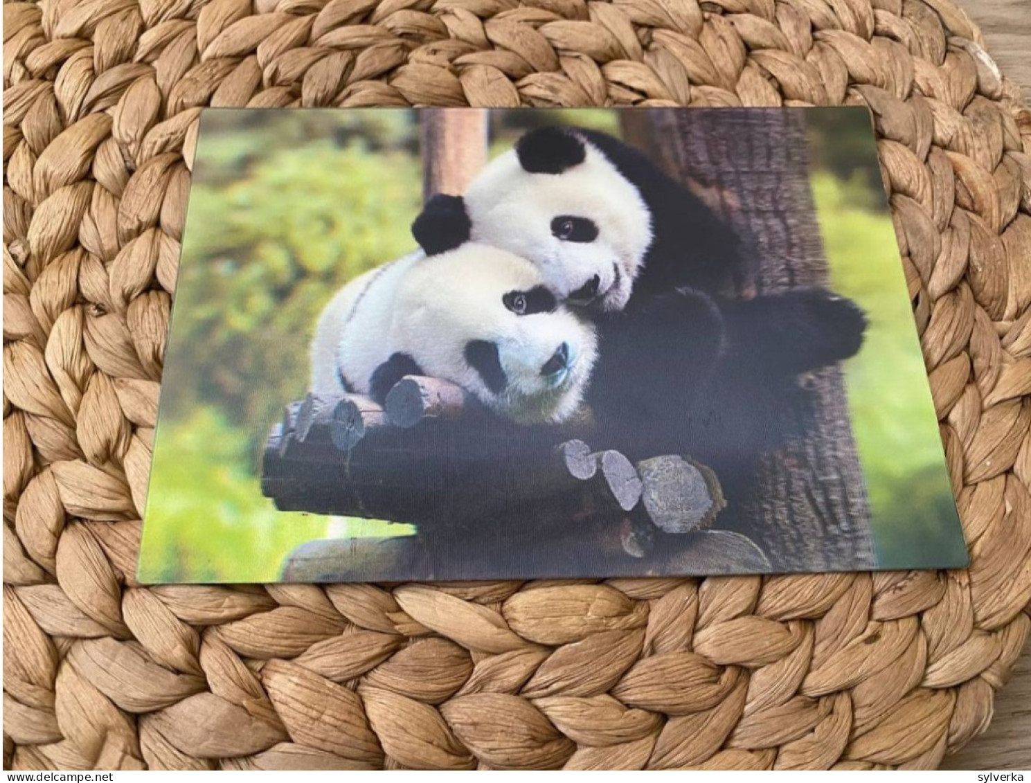Bär Bear Postkarte Postcard 3D Lenticular - Beren