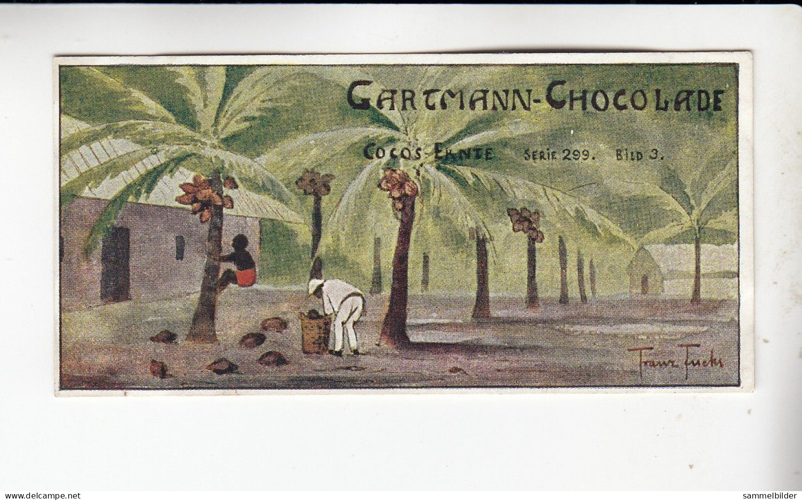 Gartmann  Samoa Kokosernte     Serie 299 #3 Von 1909 - Otros & Sin Clasificación