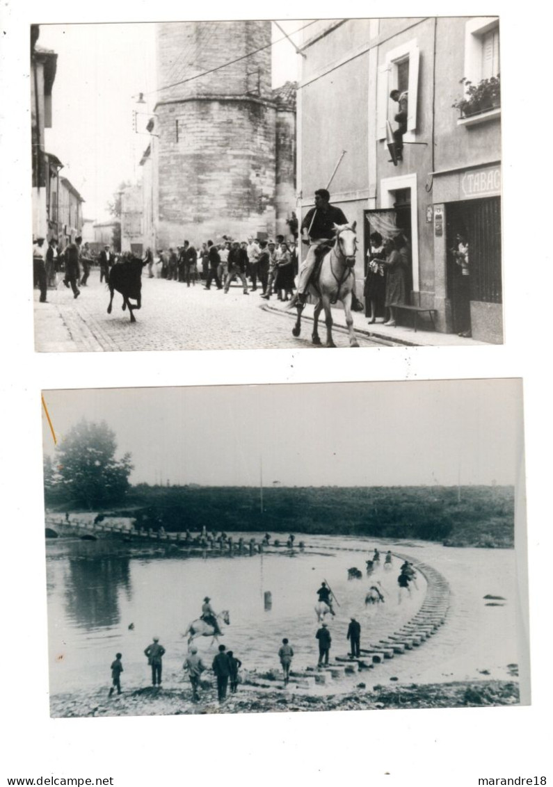 Lot De 2 Photos Avec Inscription Marsillargues Au Verso , Taureaux Camargue Pour Arenes , Manade Et Gardian 10x15 Cm - Otros & Sin Clasificación