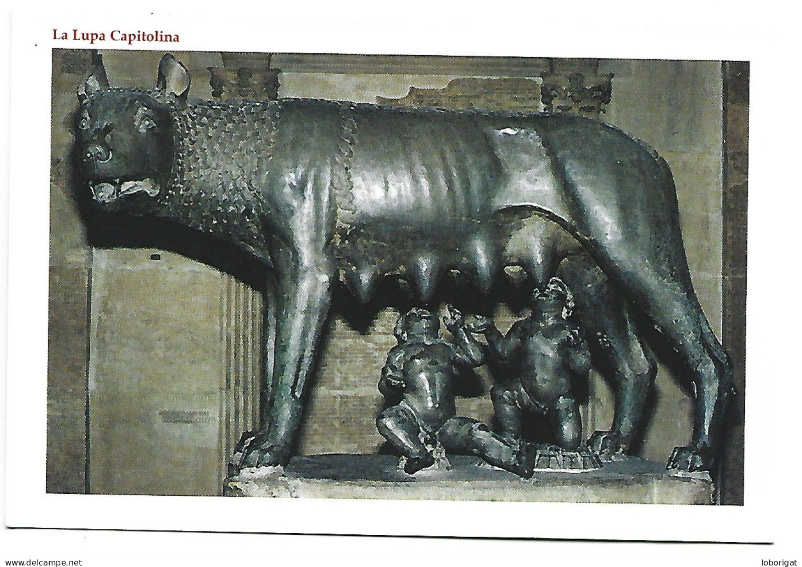 LA LUPA CAPITOLINA.-  ROMA - ( ITALIA ) - Musei
