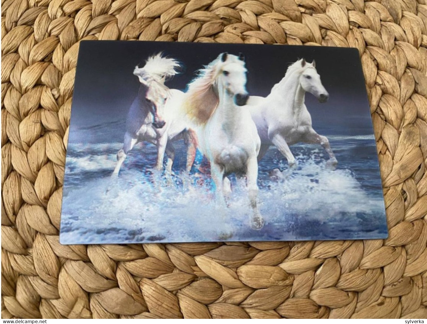 Pferd Horse Lenticular 3D Postkarte Postcard - Paarden