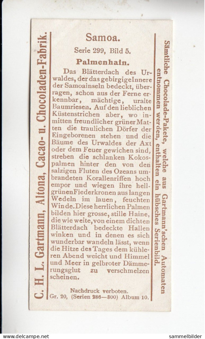 Gartmann  Samoa  Palmenhain    Serie 299 #5 Von 1909 - Otros & Sin Clasificación