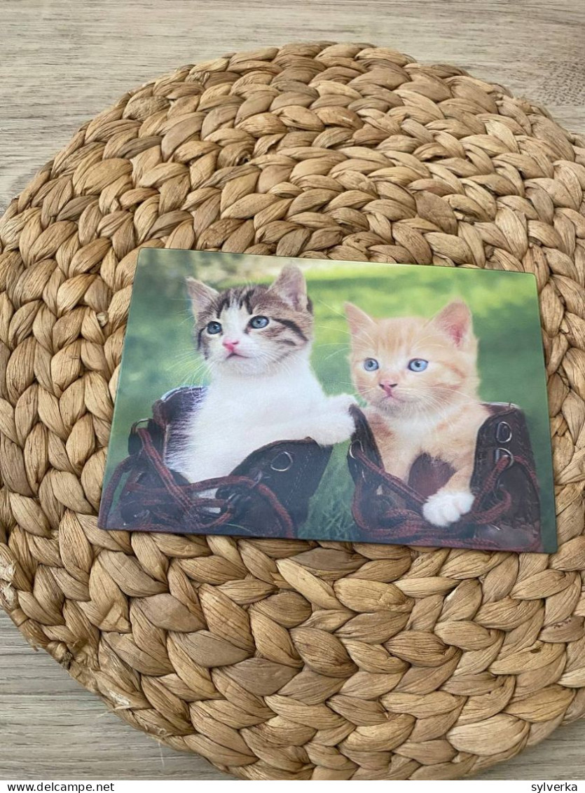 Katze Cat Chat  Lenticular 3D Postkarte Postcard - Cats