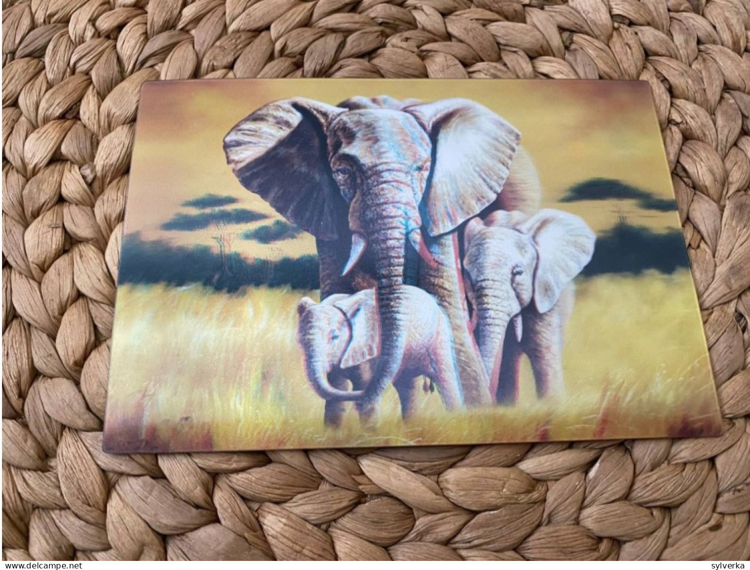 Tiere Animals Lenticular 3D Postkarte Postcard - Elefanti