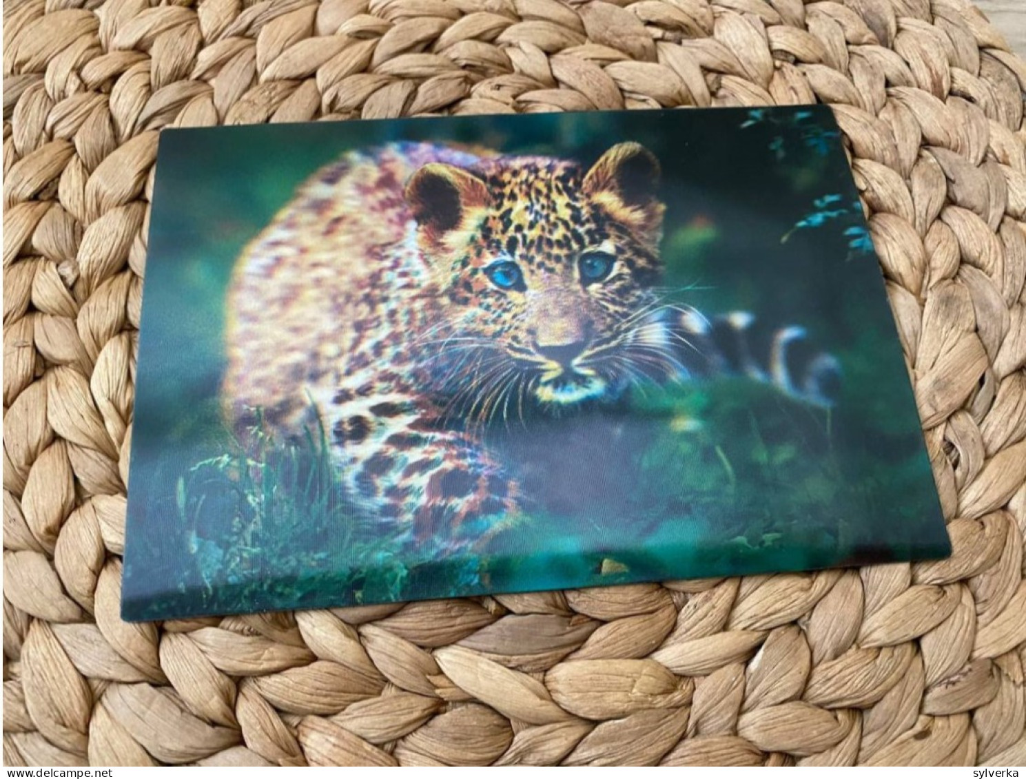 Cheetah 3D Lenticular  Postkarte Postcard - Tigers