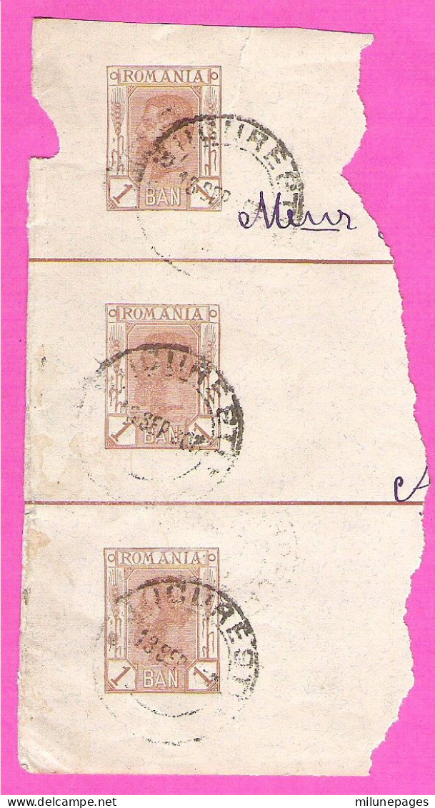 Roumanie Romania Entier Postal Stationery Bande Pour Journaux ? 3 X 1 Bani Brun Charles 1er (yvert 99) - Postwaardestukken