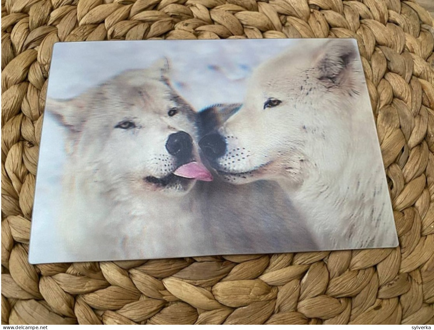 Wolf Postkarte Postcard 3D - Other & Unclassified