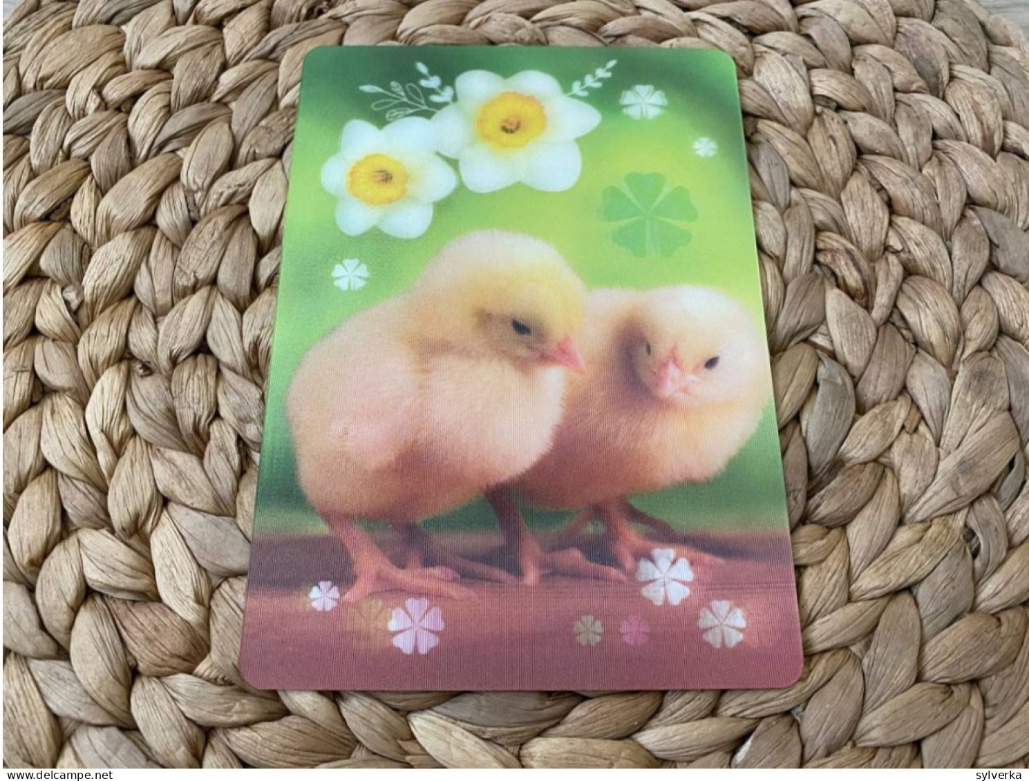 Chicken, Hähnchen 3D Lenticular  Postkarte Postcard - Lions