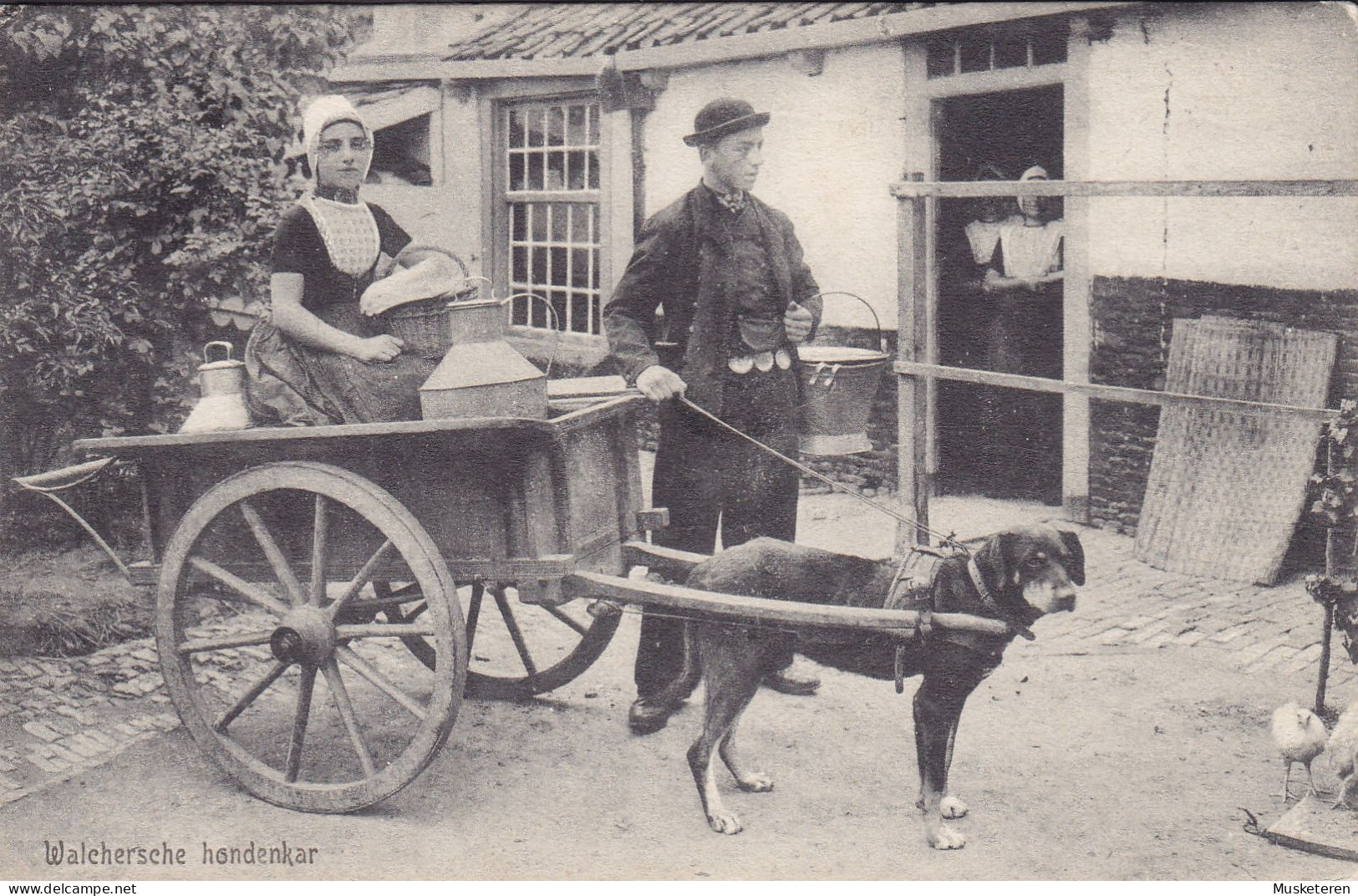 Netherlands PPC Walchersche Hondenkar Hundewagen Dog Cart Chariot Du Chien. F. B. Den Boer, Middelburg (2 Scans) - Otros & Sin Clasificación