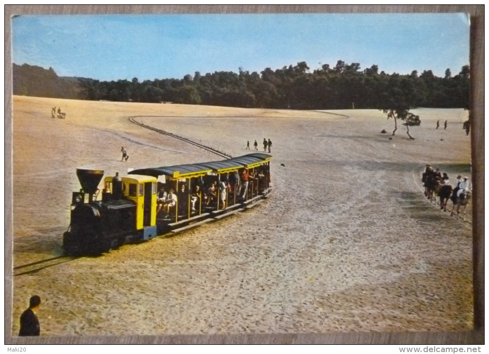 (60).ERMENONVILLE.CENTRE JEAN RICHARD.MER DE SABLE.LOT DE 3 CARTES.NON CIRCULE.TBE. - Ermenonville