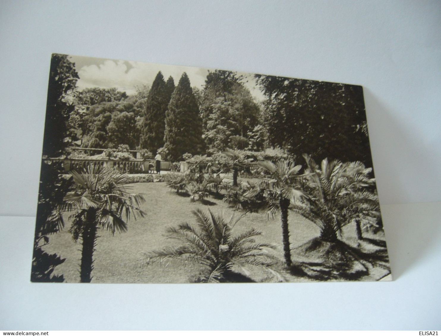 INSEL MAINAU PALMENHAIN ALLEMAGNE BADE WURYTEMBERG CPA 1957 - Other & Unclassified