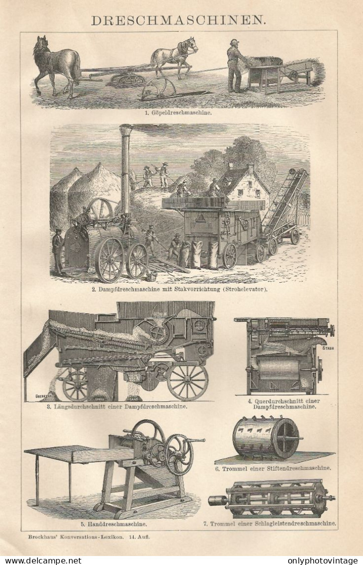 Trebbiatrici - Xilografia D'epoca - 1901 Vintage Engraving - Prints & Engravings
