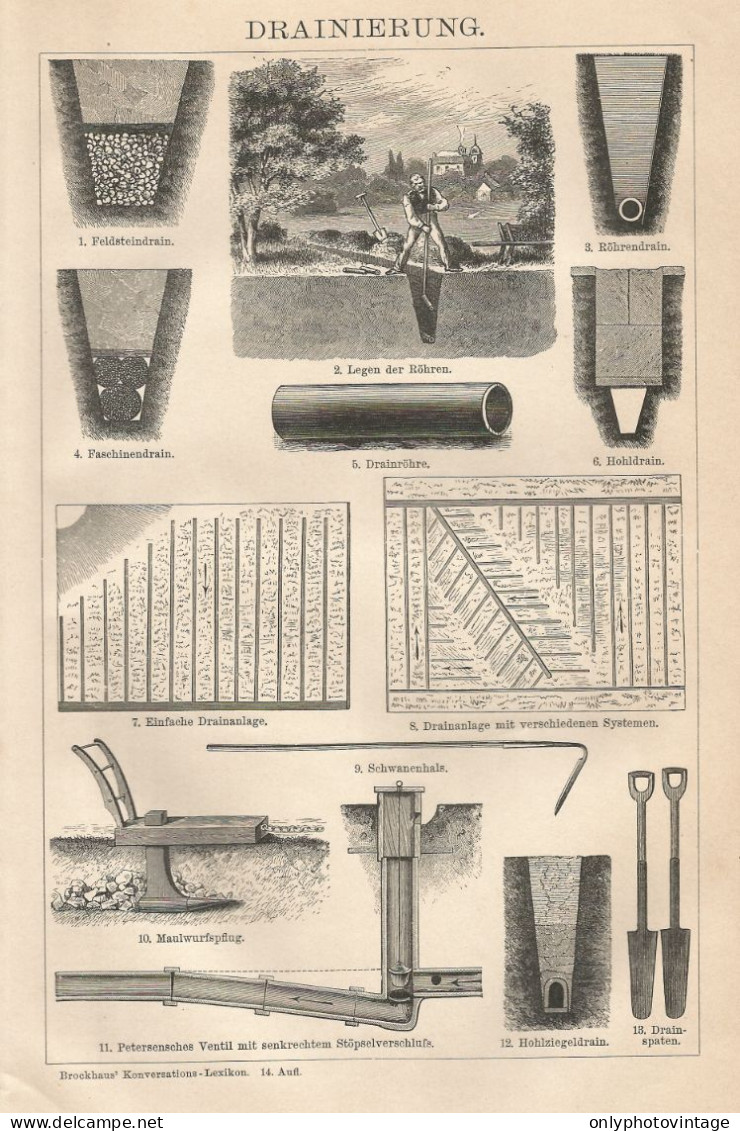 Drenaggio Del Terreno - Xilografia D'epoca - 1901 Vintage Engraving - Prints & Engravings