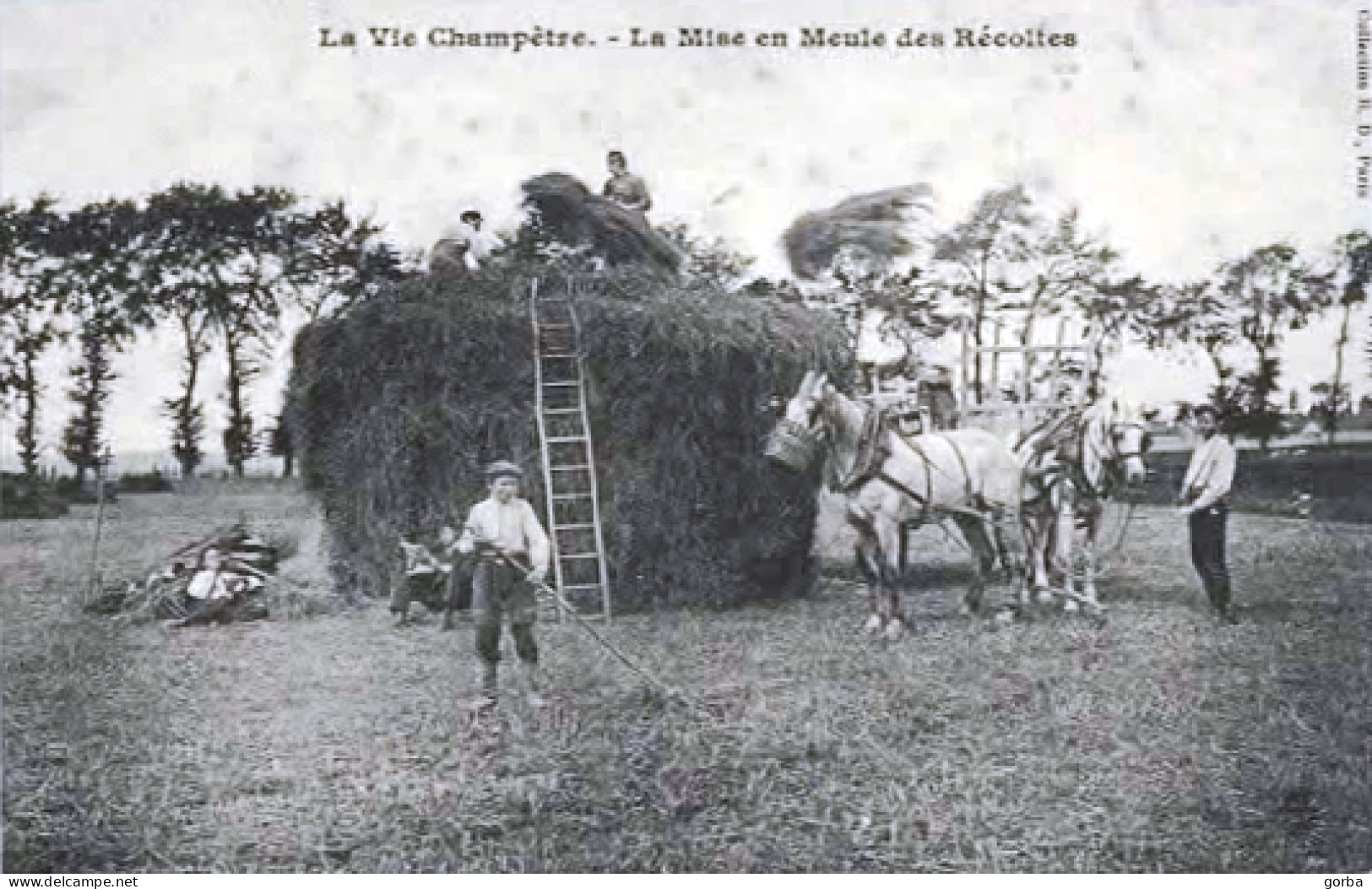 *Repro CPA - Vie Champêtre - La Mise En Meule Des Récoltes - Landwirtschaftl. Anbau