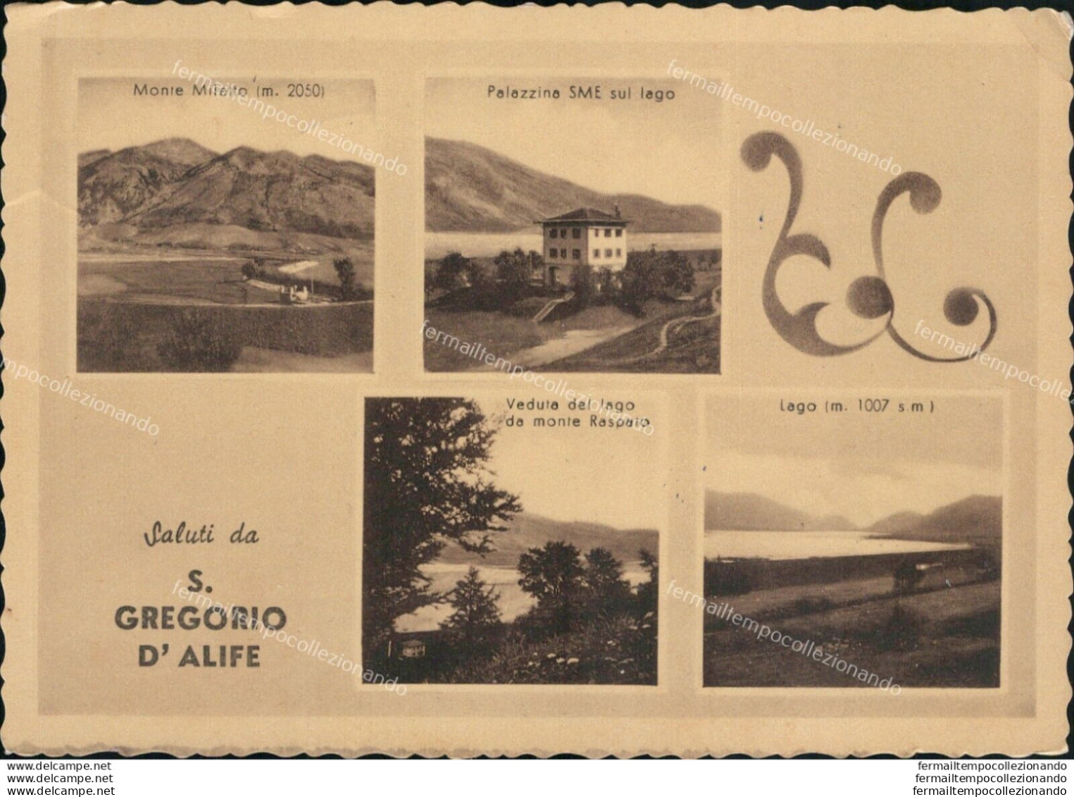 Ar152 Cartolina Saluti Da S.gregorio D'alife  Provincia Di Caserta - Caserta