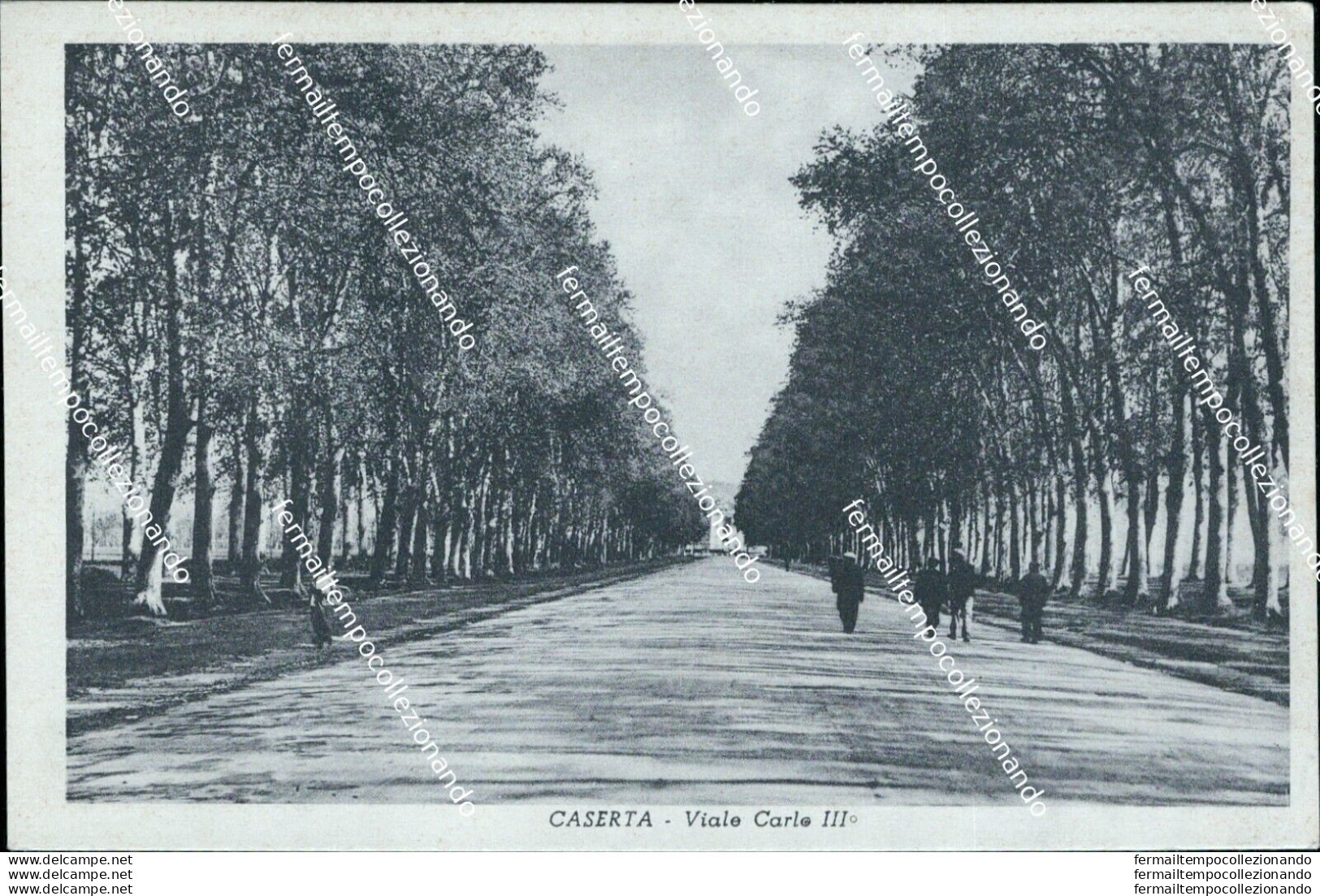 S690 Cartolina Caserta  Citta'via Carlo III - Caserta