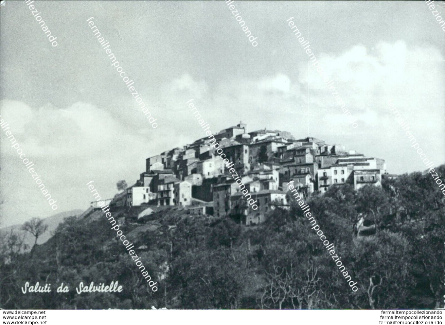 B775 Cartolina Saluti Da Salvitelle Provincia Di Salerno - Salerno