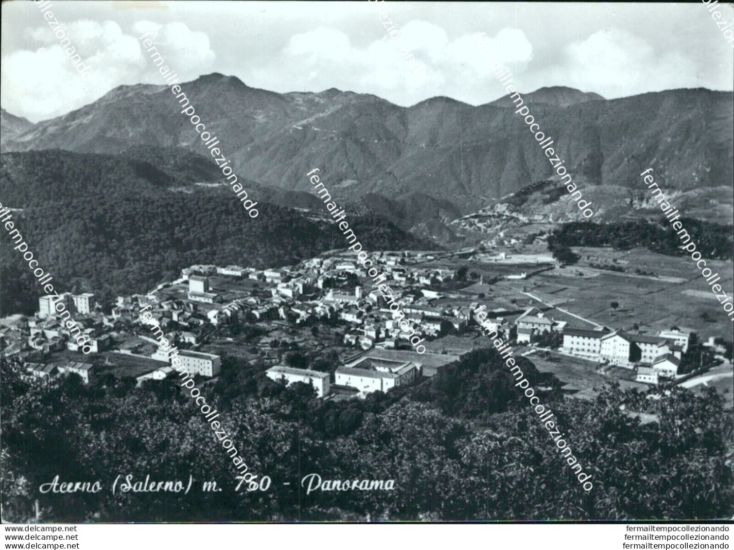 B799  Cartolina Acerno Panorama  Provincia Di Salerno - Salerno