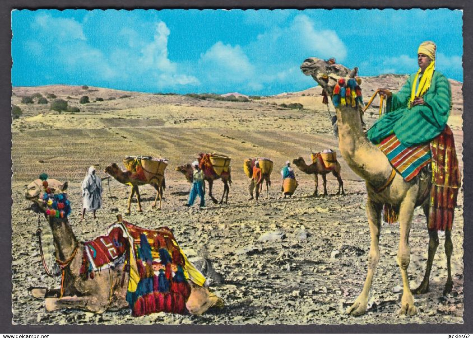 127372/ Camel Caravan In The Desert - Other & Unclassified