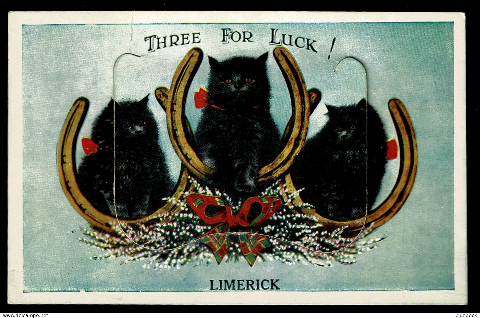 Ref 1645 - Novelty Pull Out Postcard - 3 Black Cats For Luck - Limerick Ireland - Limerick