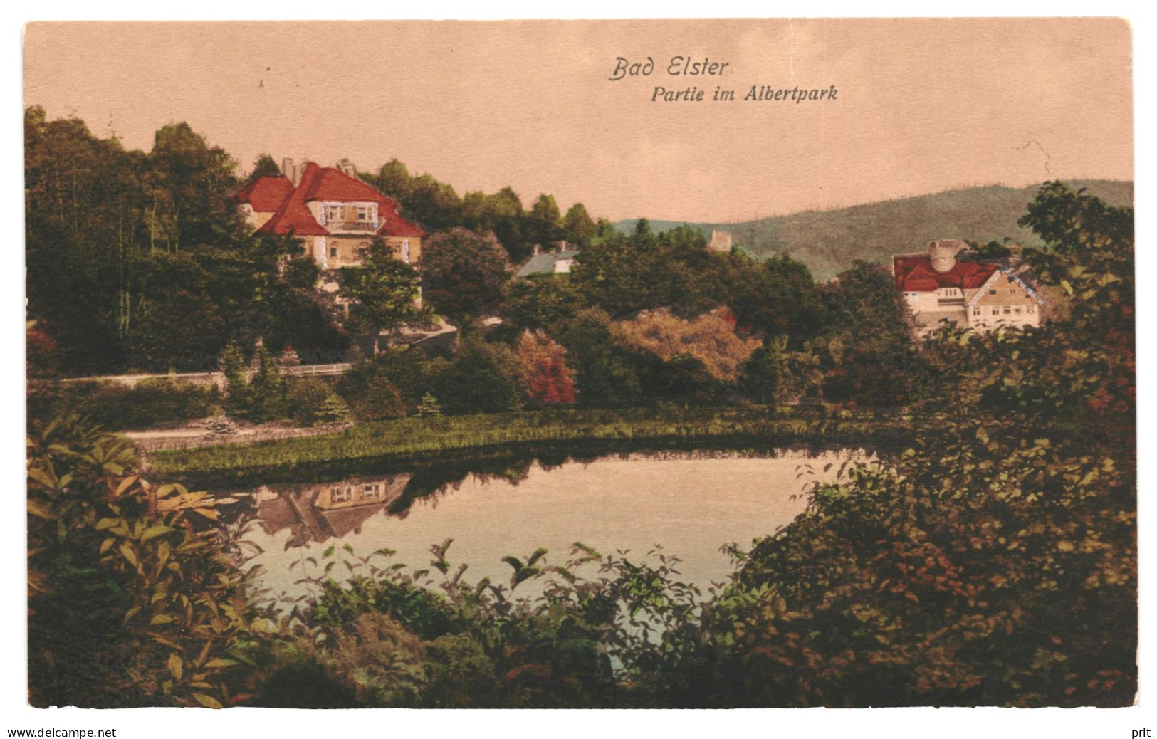 Baf Elster Partie Im Albertpark 1910-20s Unused Hand Colored Real Photo Postcard. Publisher Adolf Schaller Bad Elster - Bad Elster