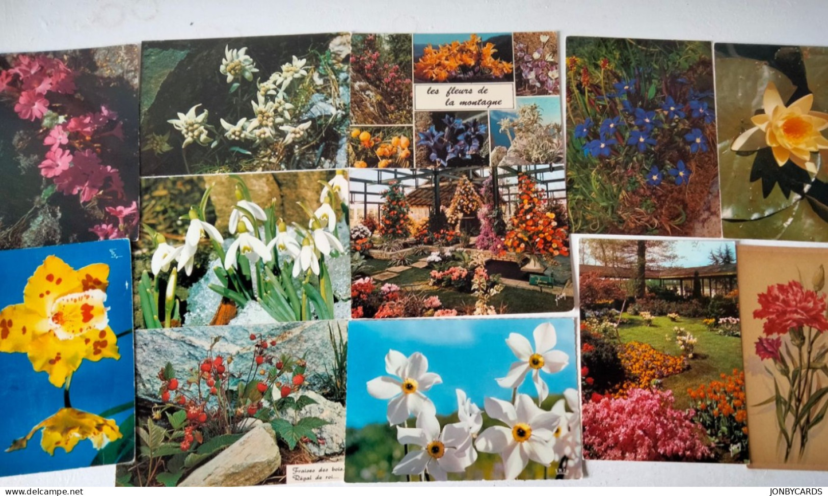 Dèstockage - Flowers,Blumen,Flores.Lot Of 90 Postcards.#52 - Blumen