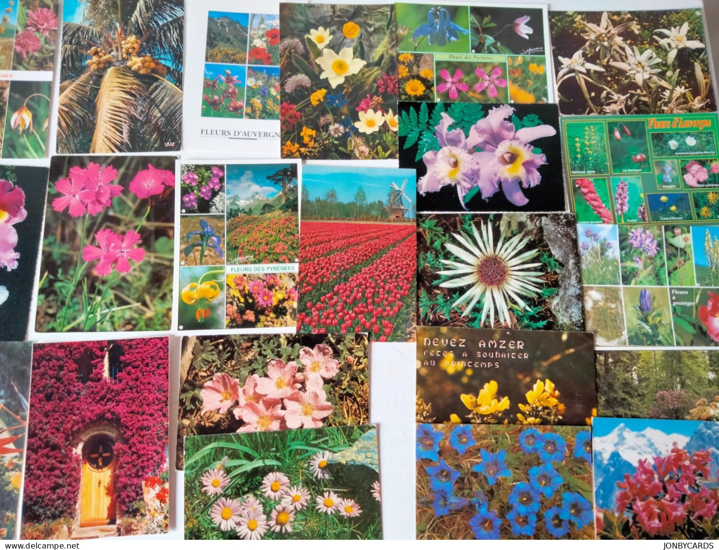 Dèstockage - Flowers,Blumen,Flores.Lot Of 90 Postcards.#52 - Flowers