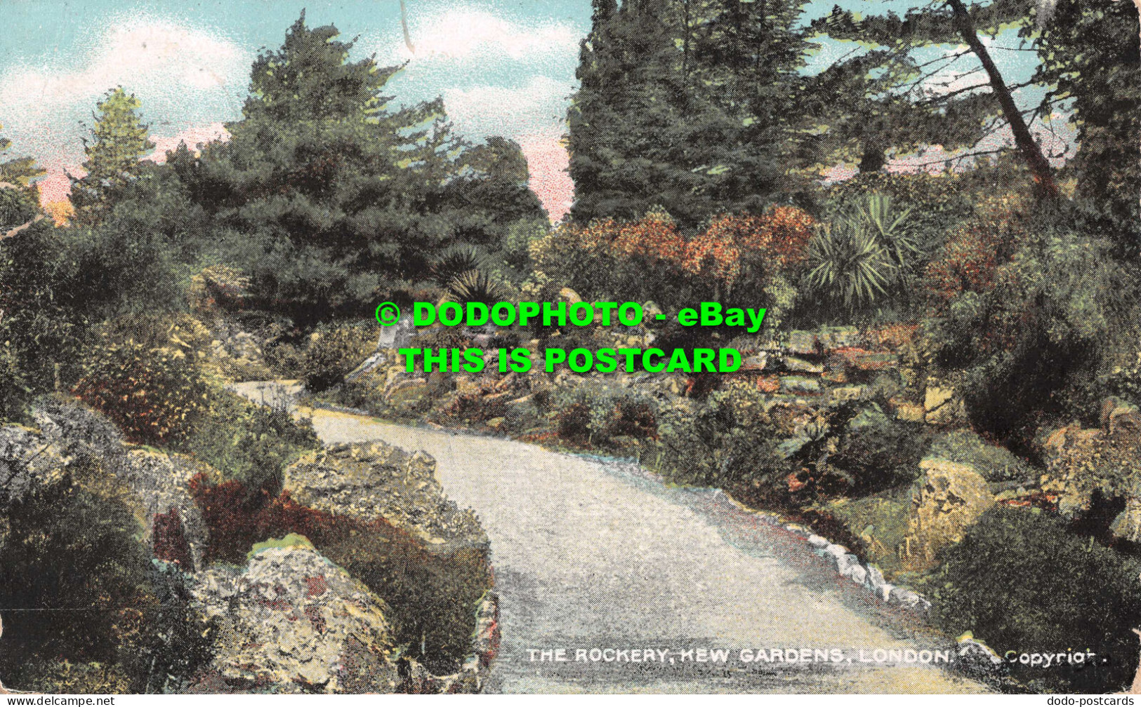 R537726 Rockery. Kew Gardens. London. Star Series. G. D. And D. L. 1907 - Sonstige & Ohne Zuordnung